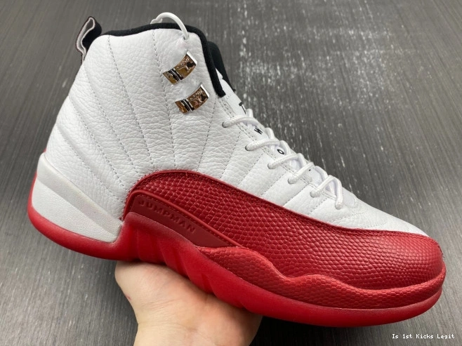 12 Retro Air Cherry 130690-110 Jordan 0725